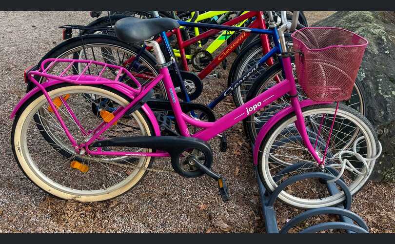 Vaaleanpunainen Jopo-kuva-1